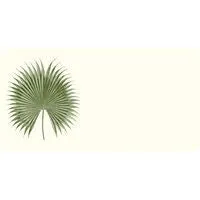 Alexa Pulitzer Monarch Notes