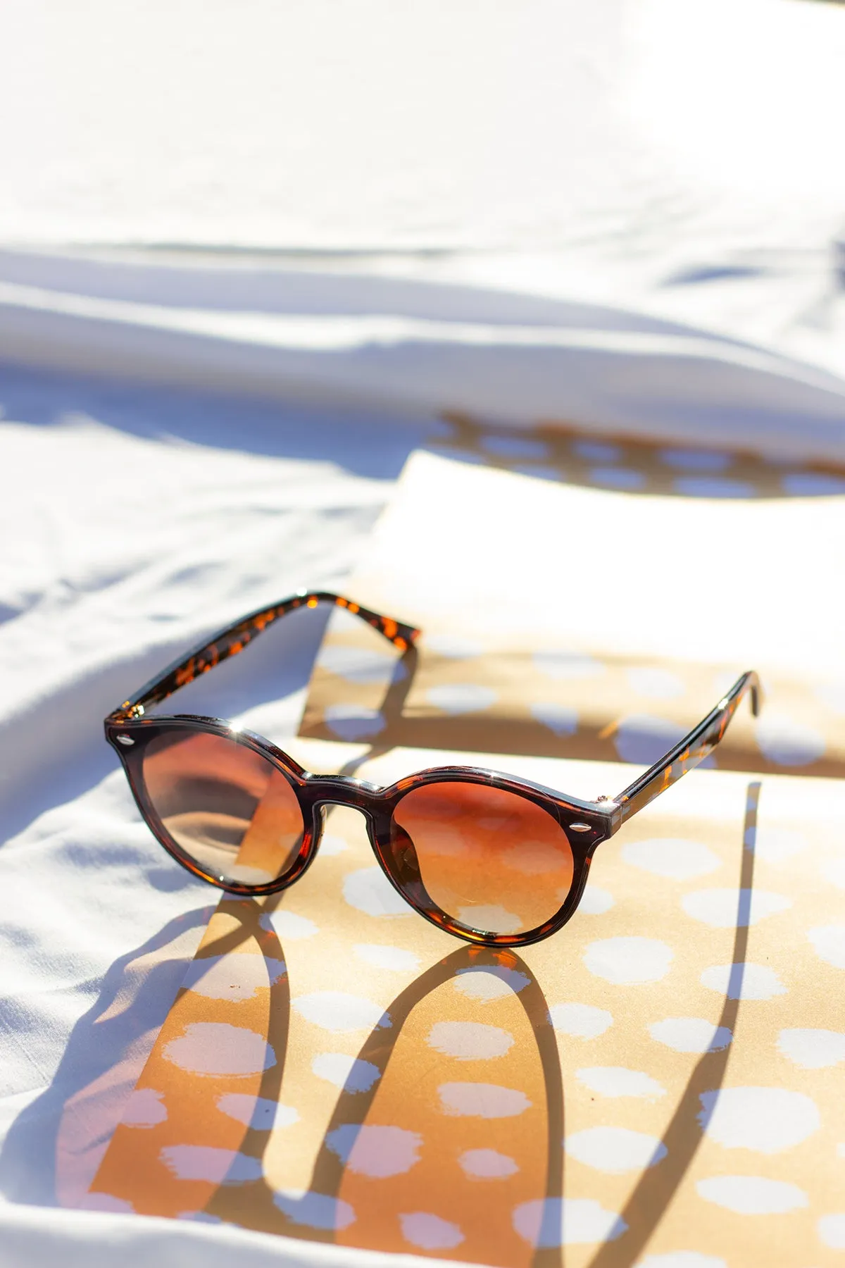 Front Lens Rounded Classic Pin Sunglasses