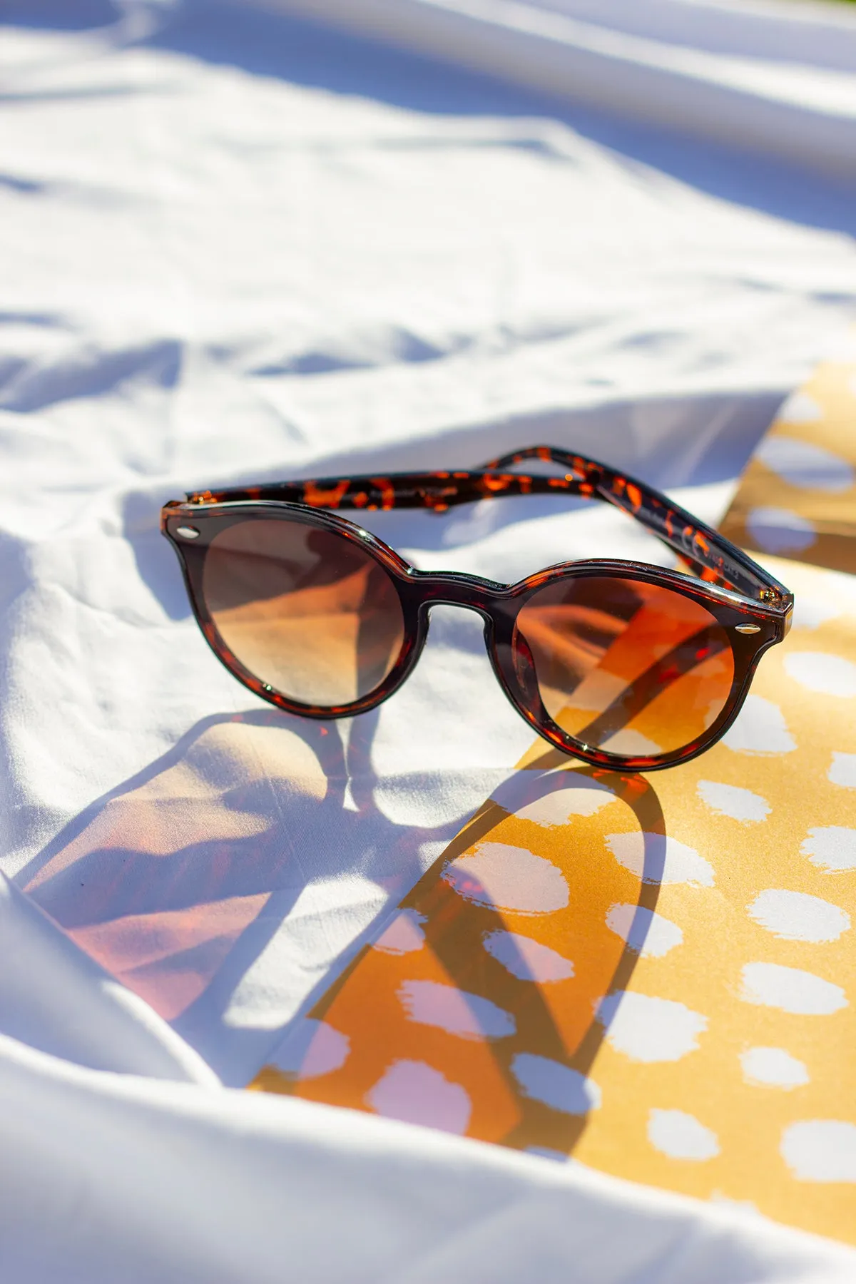 Front Lens Rounded Classic Pin Sunglasses
