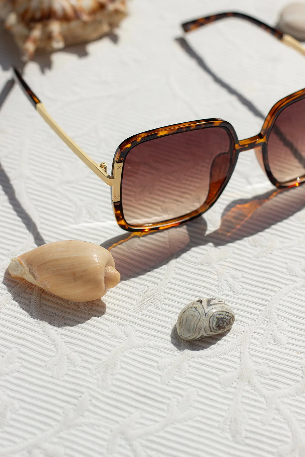 Oversized Rounded Square Screw Detail Sunglasses