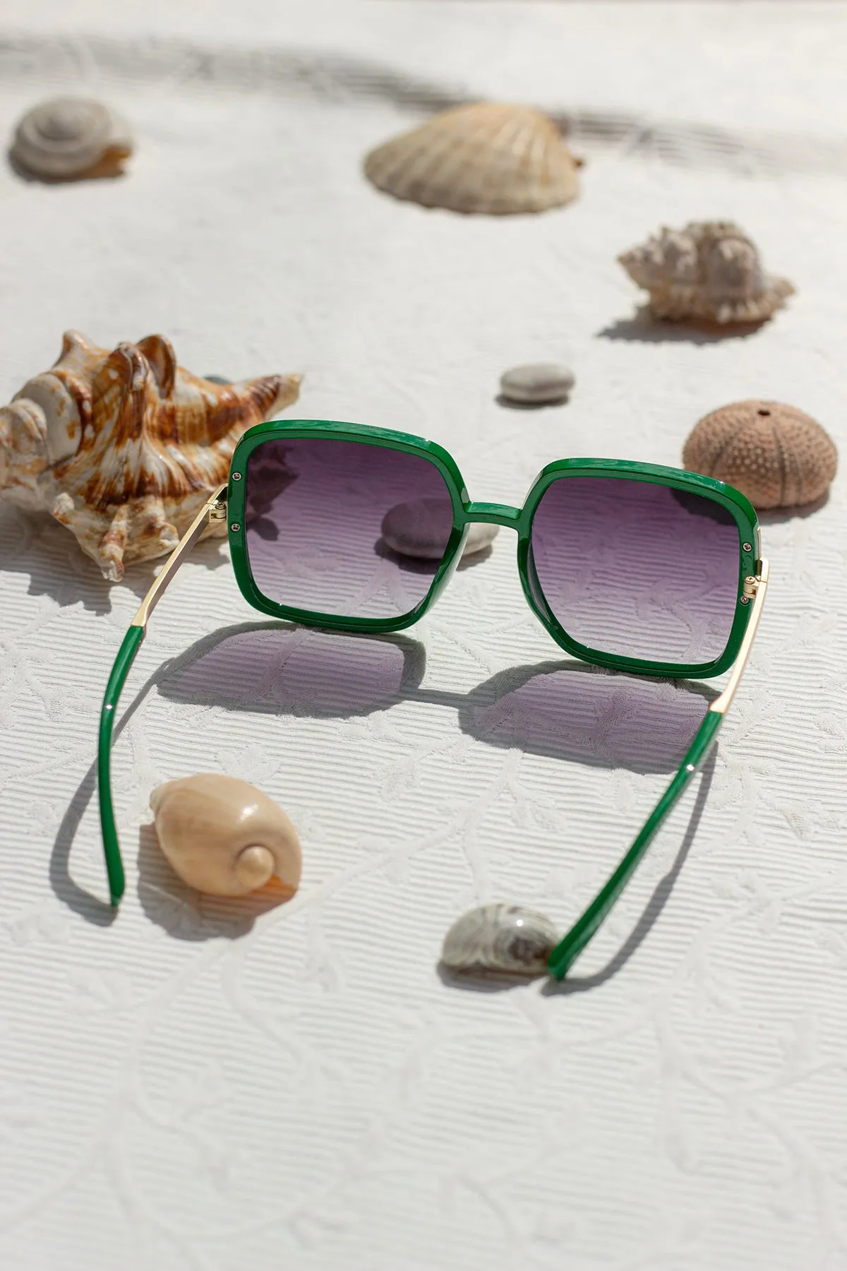 Oversized Rounded Square Screw Detail Sunglasses