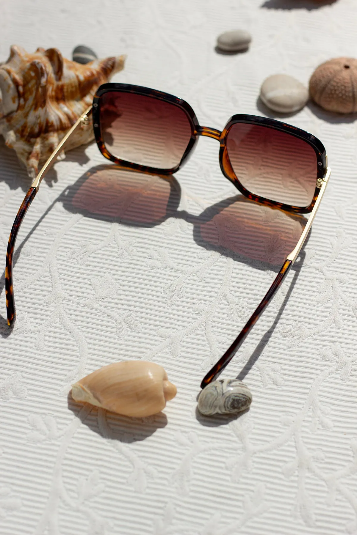 Oversized Rounded Square Screw Detail Sunglasses