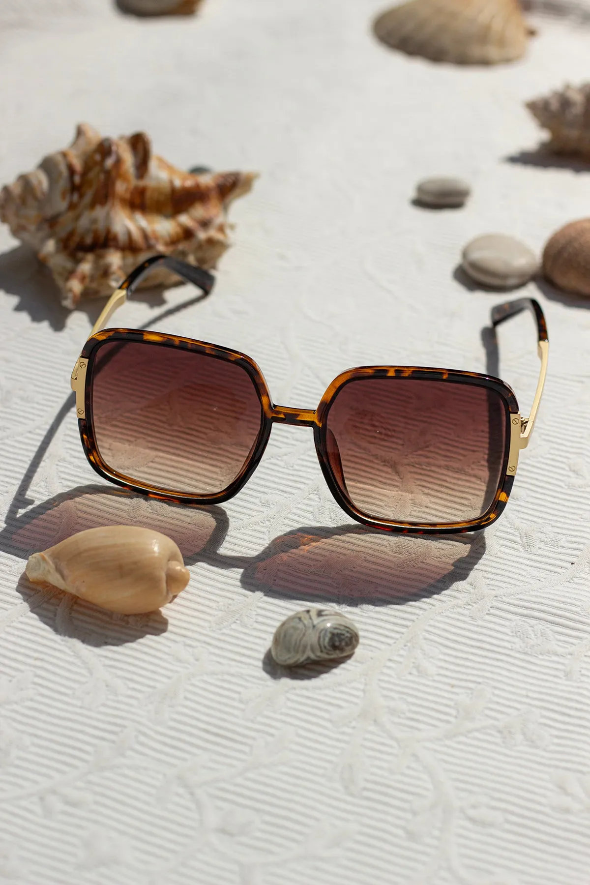 Oversized Rounded Square Screw Detail Sunglasses