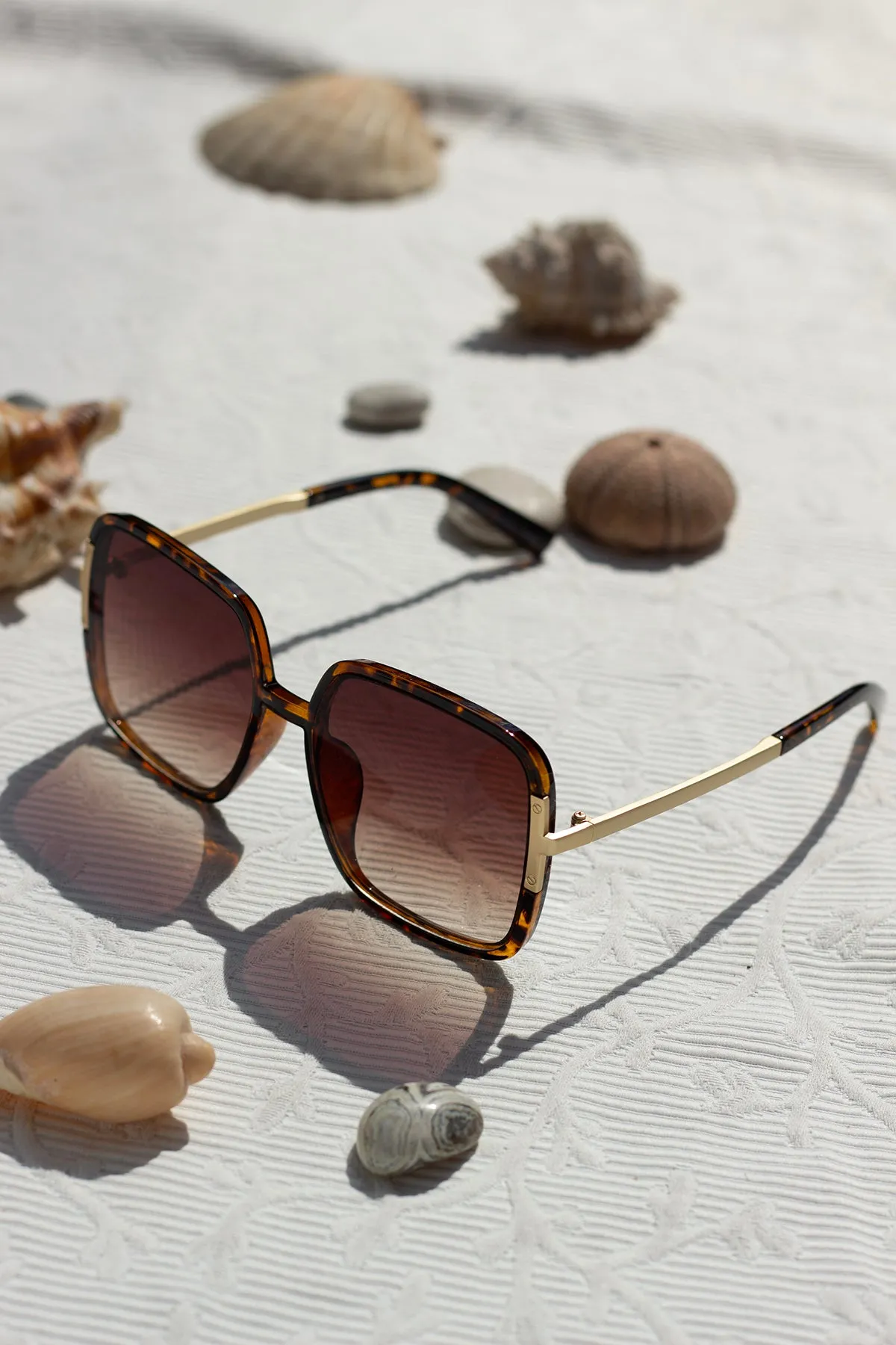 Oversized Rounded Square Screw Detail Sunglasses
