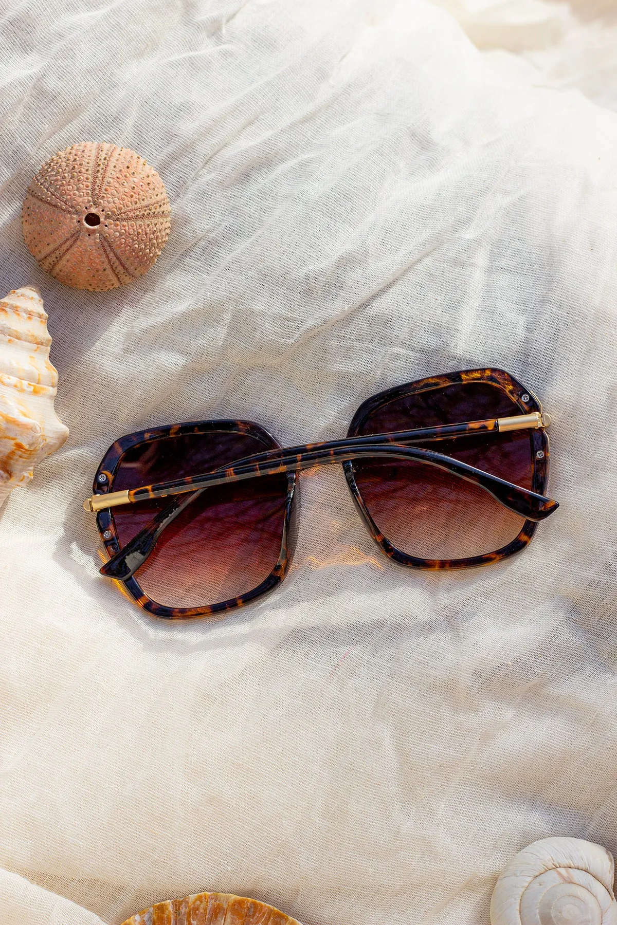 Rounded Square Screw Detail Side Arm Sunglasses