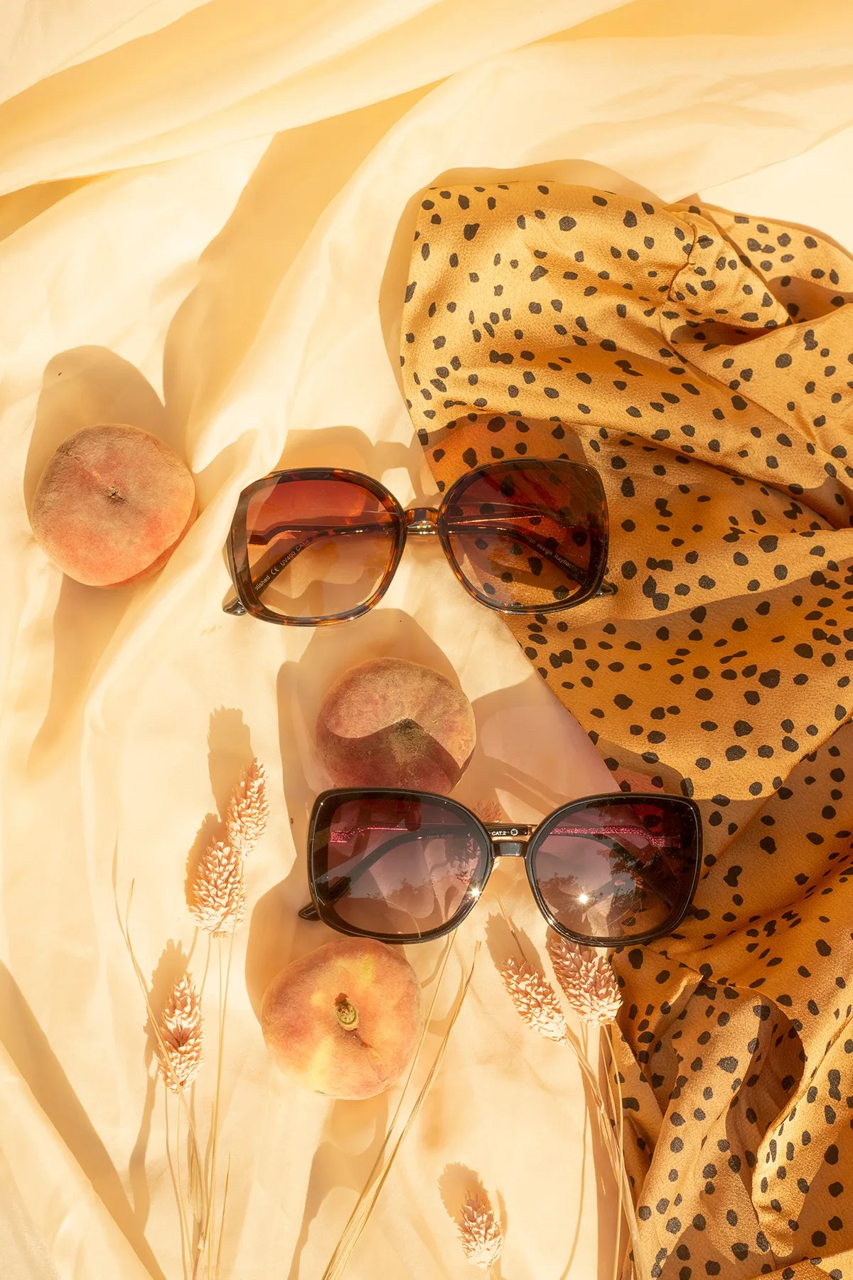 Rounded Square Sunglasses