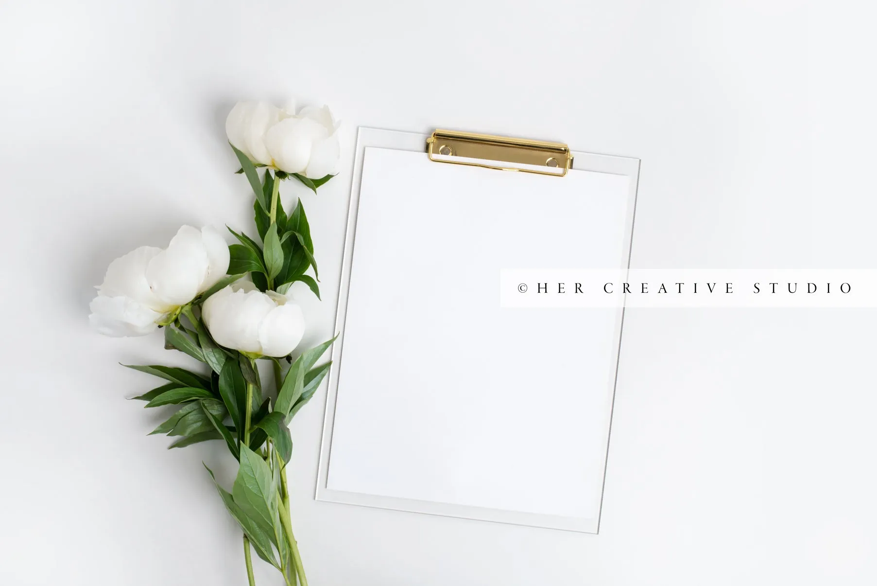 White Peonies and Clipboard Landscape